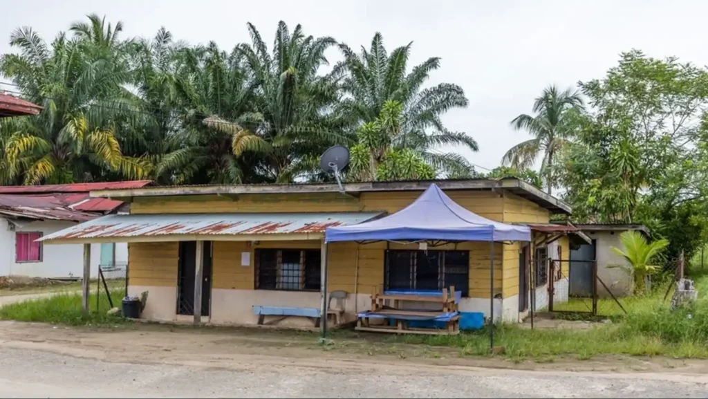 பெயிண்டர்-கள் சுற்றுச்சூழலுக்கு பாதிப்பை எப்படி குறைக்கலாம்